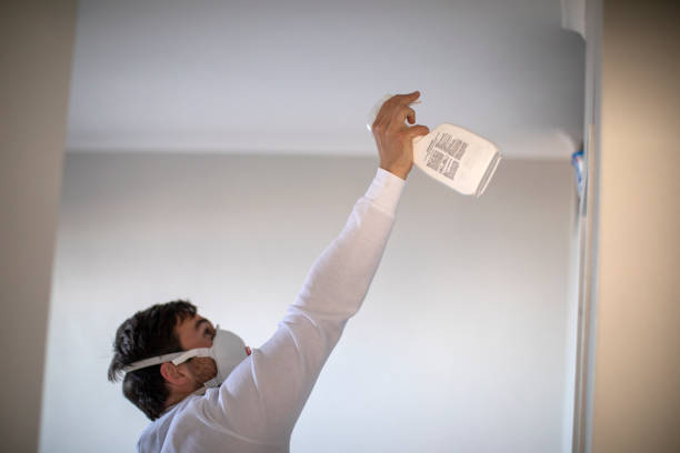 Best Emergency Mold Removal  in Niverville, NY
