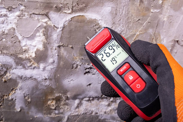 Best Mold Inspection  in Niverville, NY