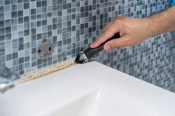 Best Attic Mold Removal  in Niverville, NY