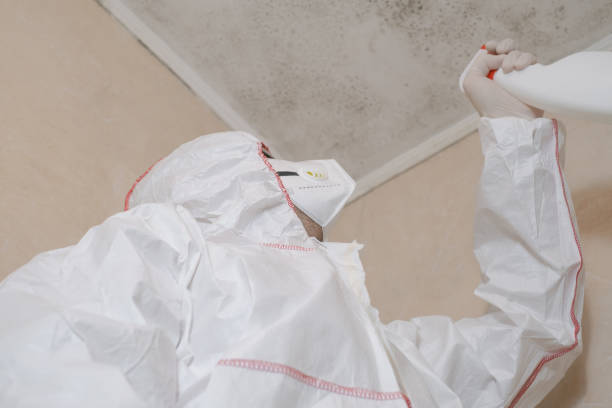 Best Crawl Space Mold Removal  in Niverville, NY
